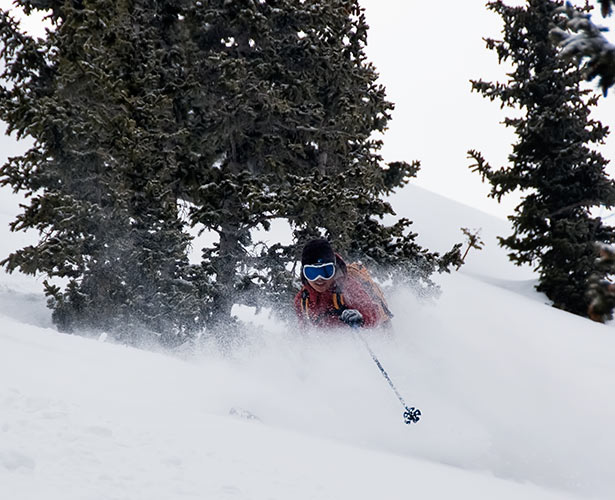 tree ski